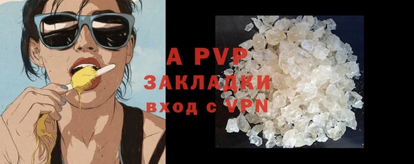 спиды Нея