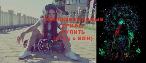 гидропоника Тында
