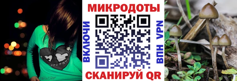Псилоцибиновые грибы Psilocybine cubensis  Барнаул 