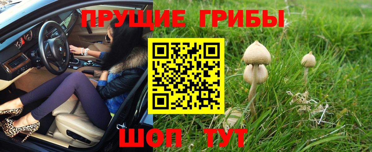 Галлюциногенные грибы прущие грибы Барнаул