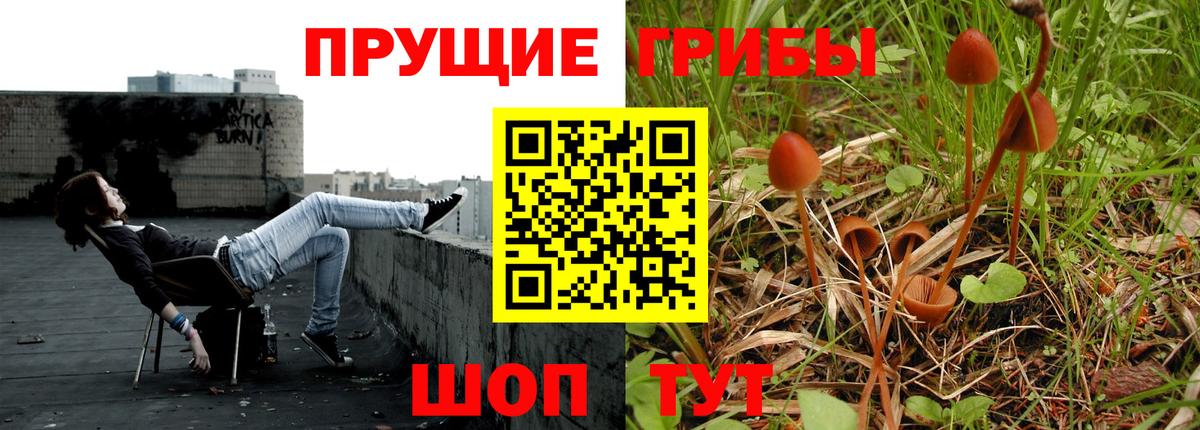 Псилоцибиновые грибы ЛСД  Галлюциногенные грибы GOLDEN TEACHER  Барнаул  Вход с VPN 