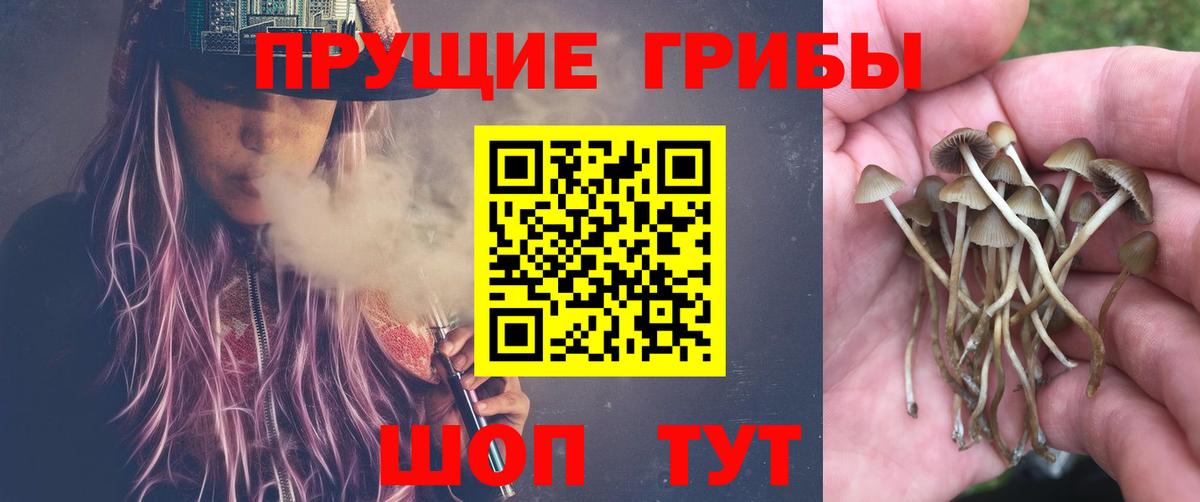 Псилоцибиновые грибы мицелий  Барнаул 